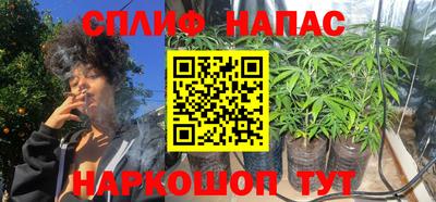 индика Аша