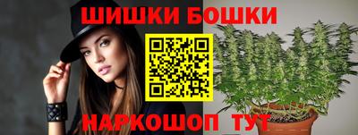 индика Аша