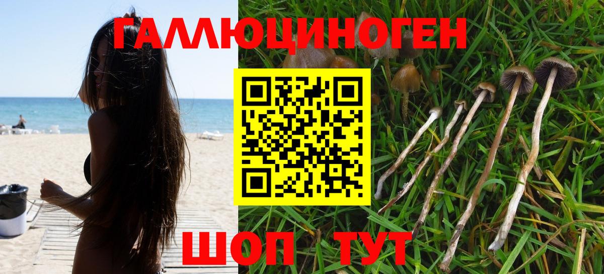 хочу   Вход с VPN  Белореченск  Галлюциногенные грибы Cubensis  Галлюциногенные грибы Magic Shrooms 