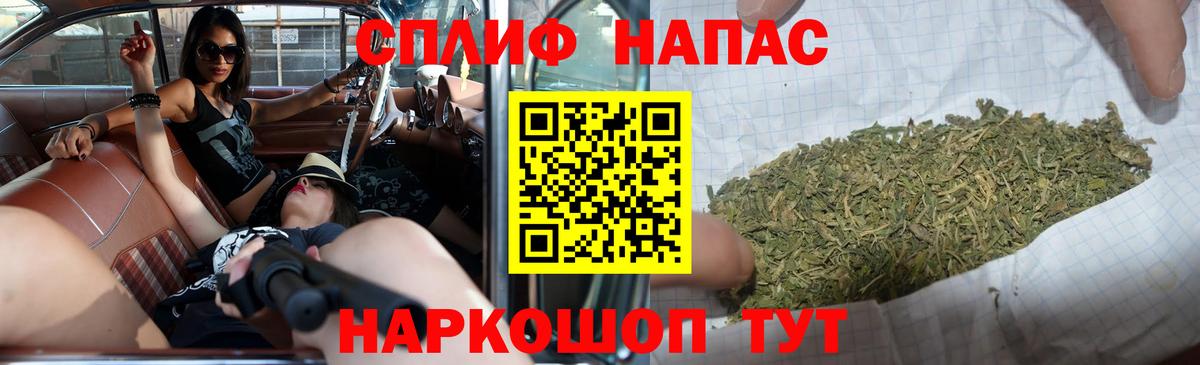 Конопля план  Вход с VPN  Белореченск  Бошки Шишки White Widow 